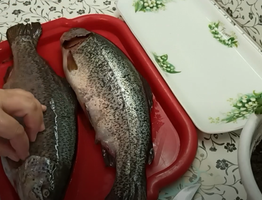 Купил форель из "Светофора" для засолки икры: принес домой, и вот что обнаружил - честный отзыв