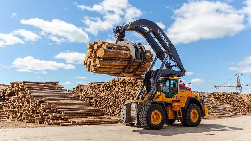 Главная картинка новости: "Лузалес" из Коми вошёл в рейтинг лучших российских работодателей по оценке РБК