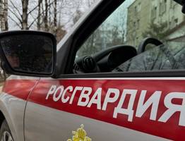 Сотрудники Росгвардии задержали сыктывкарку за драку в баре столицы Коми