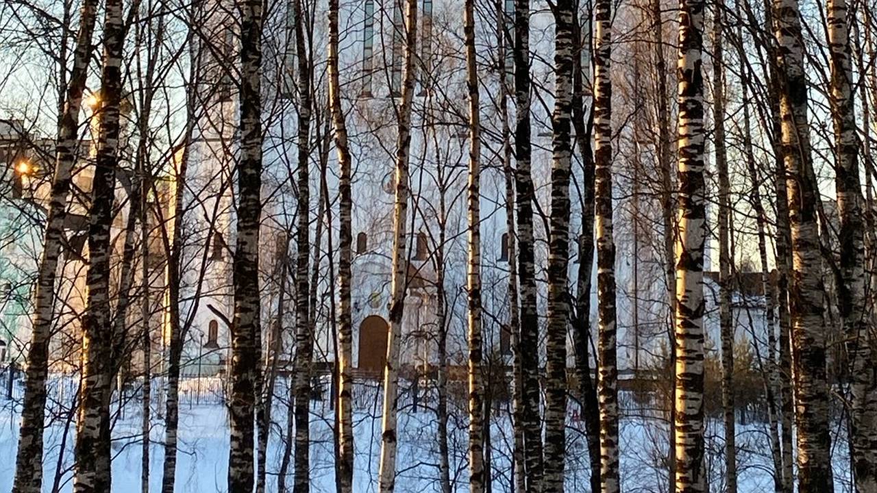 Главная картинка новости: 21 ноября установит в Коми режим легкого мороза с метелями на юго-западе