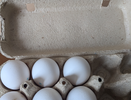 Обходят за километр: почему работники магазинов и птицефабрик никогда не покупают яйца категории С0 даже по скидке