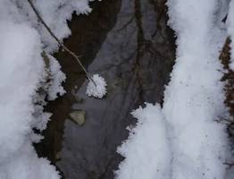 Минприроды Коми взяло под контроль последствия аварии на канализационной станции Каджерома