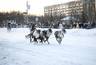 Миниатюра новости: В Коми оленьи упряжки промчались по главной улице Воркуты