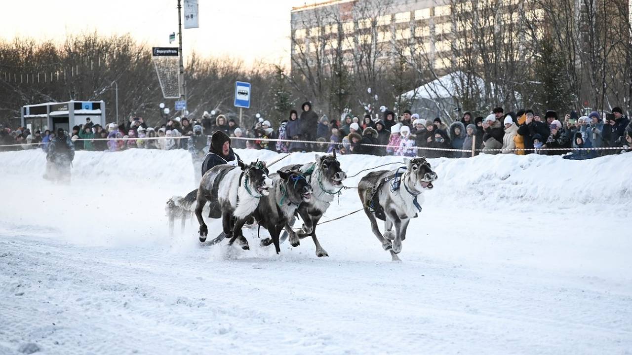 Главная картинка новости: В Коми оленьи упряжки промчались по главной улице Воркуты