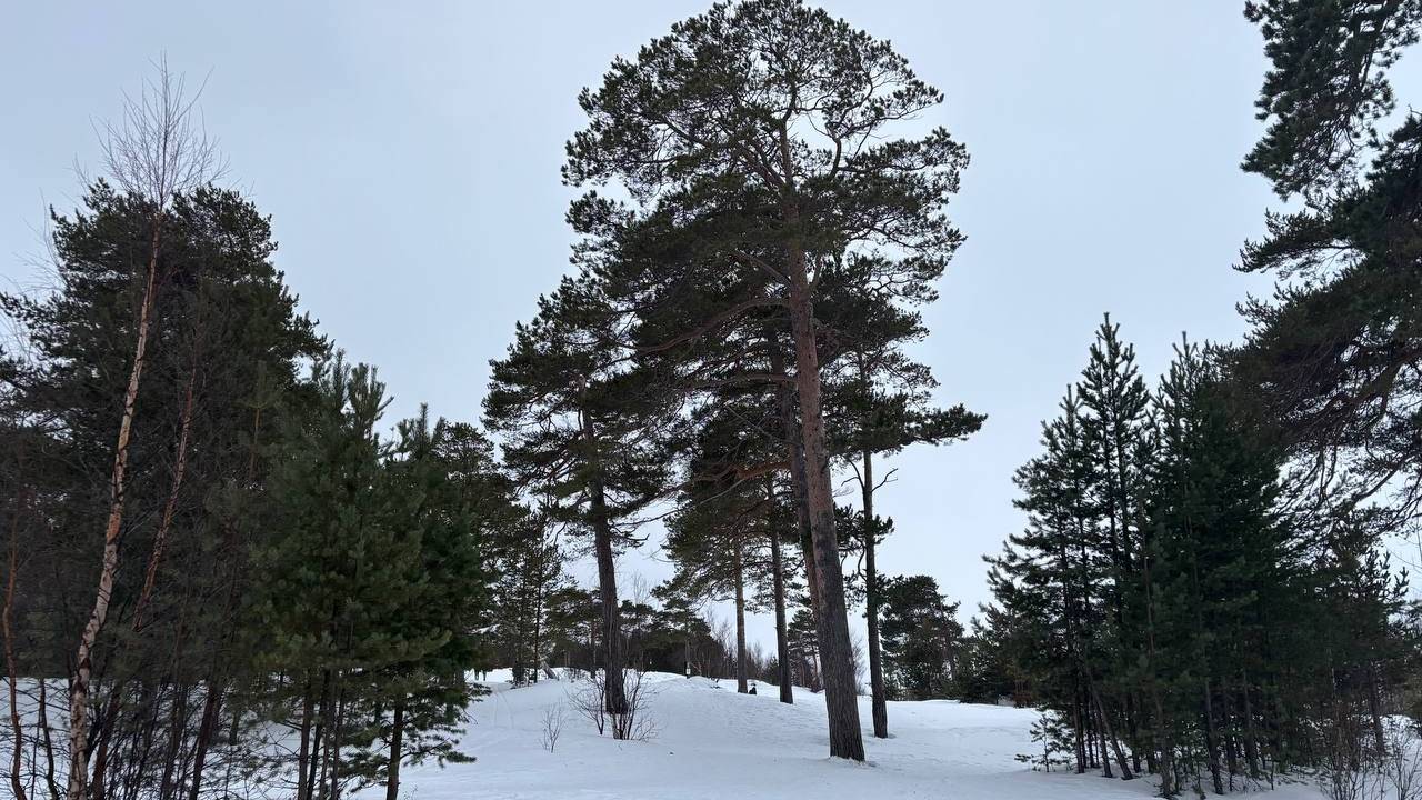 Главная картинка новости: 25 ноября в Коми установились контрасты: Воркута замерзает при -17°C, а Сыктывкар довольствуется -3°C