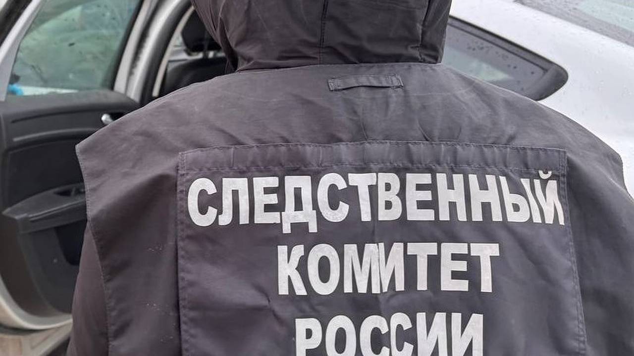 Главная картинка новости: В Коми задержали подозреваемого в убийстве мужчины в Ухте