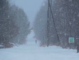 3 декабря большую часть Коми накроет полоса мокрого снега
