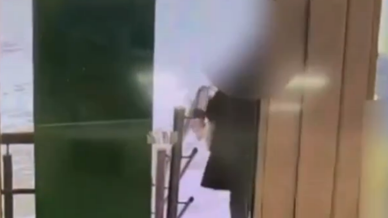 Главная картинка новости: В Сыктывкаре мужчина решил сэкономить на подарке и украл шубу из магазина: его задержали