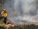 Коми получит миллионы рублей из федерального резерва на борьбу с лесными пожарами