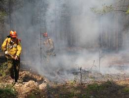 Коми получит миллионы рублей из федерального резерва на борьбу с лесными пожарами