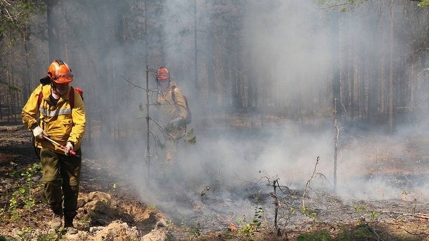 Главная картинка новости: Коми получит миллионы рублей из федерального резерва на борьбу с лесными пожарами