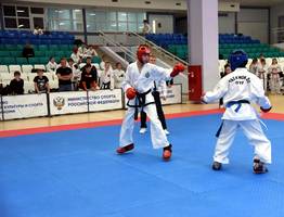 В Коми определили победителей чемпионата и первенства региона по тхэквондо