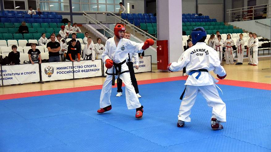 Главная картинка новости: В Коми определили победителей чемпионата и первенства региона по тхэквондо