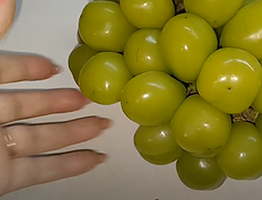 Премиум-вкус или развод покупателей: стоит ли брать большой пластиковый виноград, который появился в магазинах