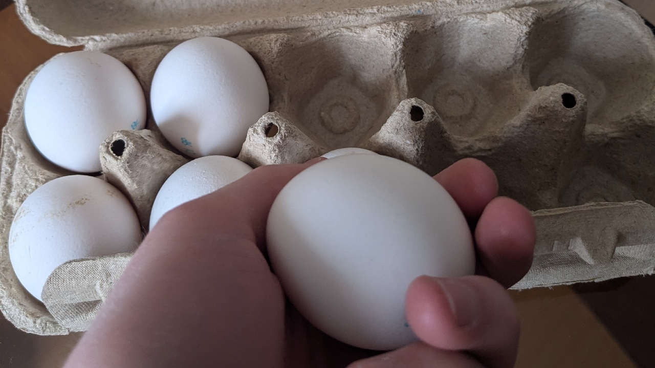 Главная картинка новости: Километр за версту: почему работники магазинов и птицефабрик не покупают яйца категории С0 - даже по скидке