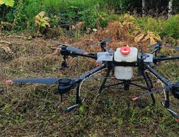 Во исполнение нового закона власти и землевладельцы Коми объединятся против борщевика