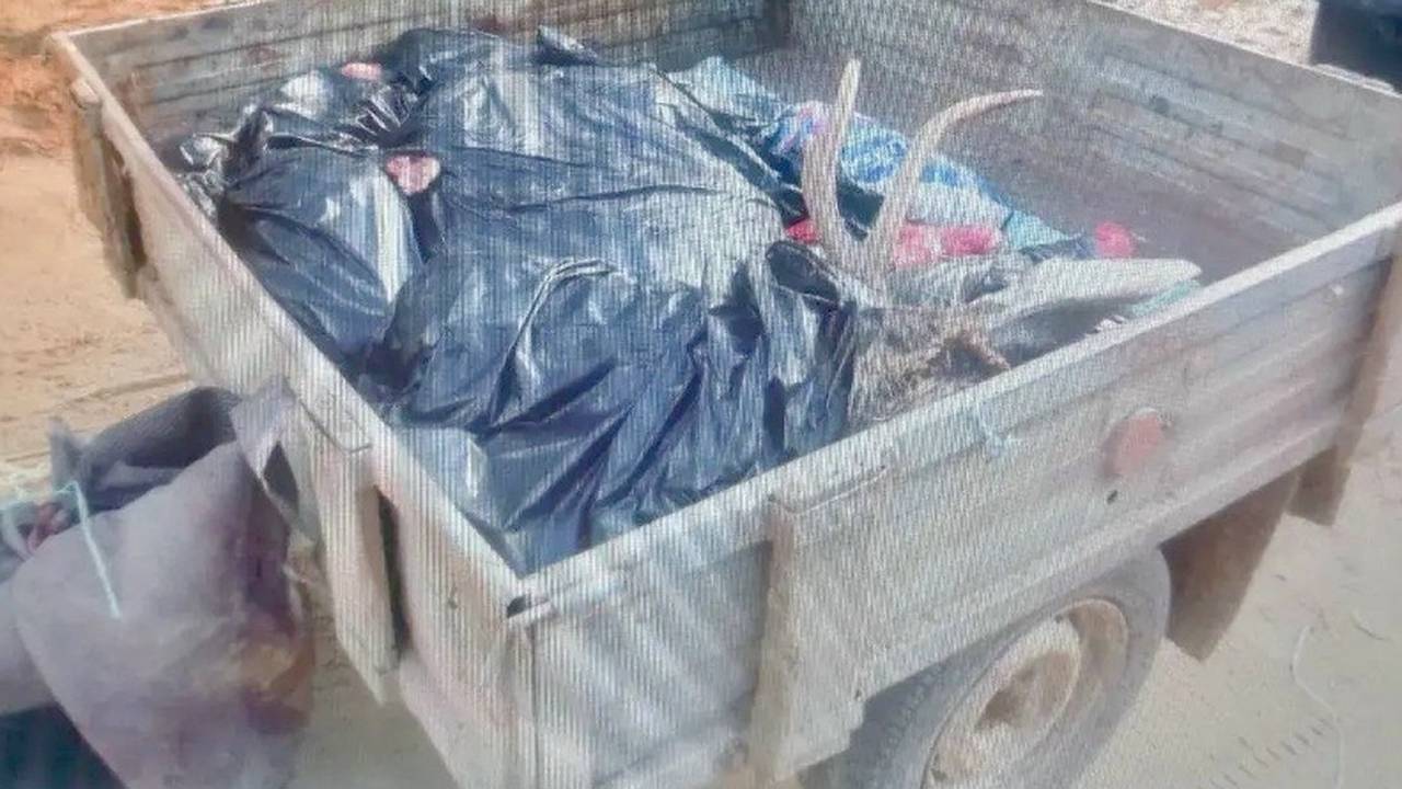 Главная картинка новости: В Сысольском районе Коми задержали москвича по подозрению в браконьерстве