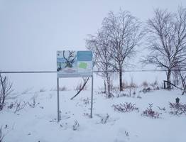 Ученые Коми в заказнике "Дзервад" подтвердили гипотезу о проживании северных оленей