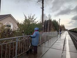 Как вести себя с теми, кто вас не любит: одна еврейская мудрость — ваш лучший щит