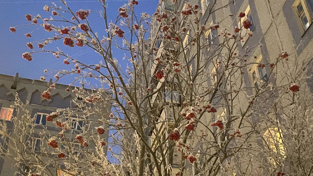 Главная картинка новости: 26 декабря в Коми сохранятся умеренные морозы, но уже с осадками