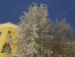 30 декабря принесет в Коми низкие температуры и легкий снег