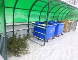 Ёлки не на свалку, а в дело: в двух городах Коми запустят экологическую акцию