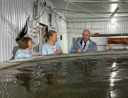 Фермер из Коми с "Агростартапом" запустила производство форели