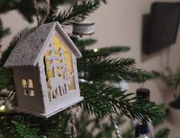 Каждый второй житель Коми испытал раздражение при подготовке к Новому году