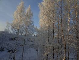 13 января морозы сковали большую часть Коми: до -38 на термометрах