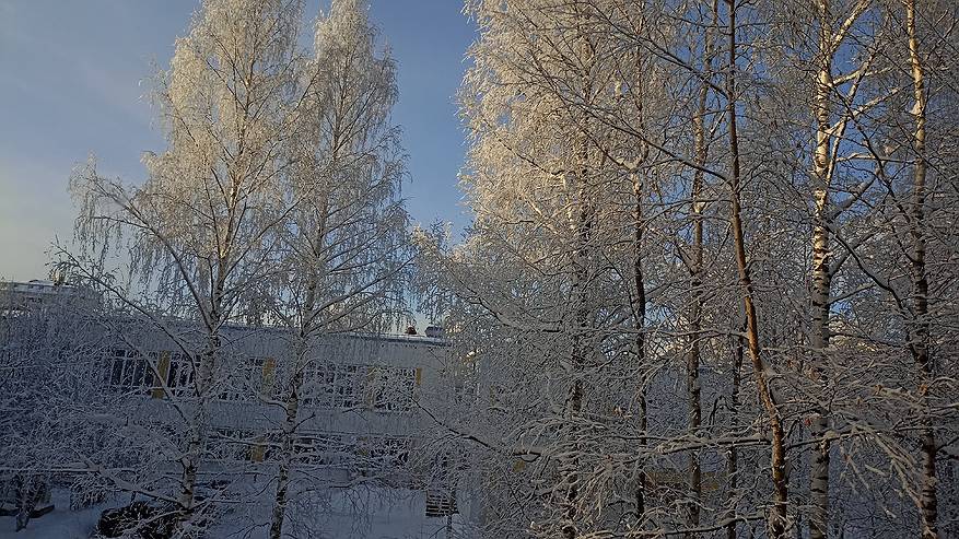 Главная картинка новости: 13 января морозы сковали большую часть Коми: до -38 на термометрах