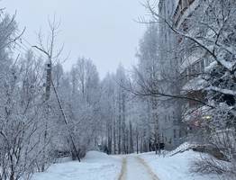 14 января принесет в Коми заметное потепление