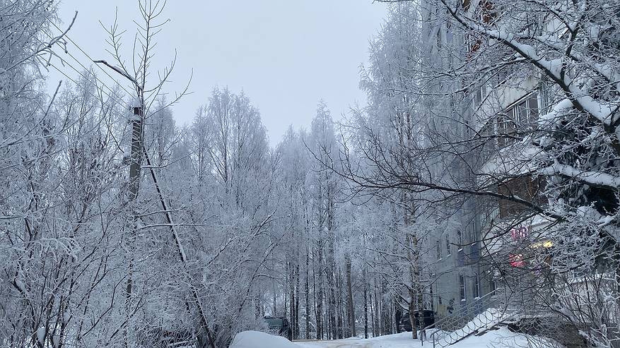 Главная картинка новости: 14 января принесет в Коми заметное потепление