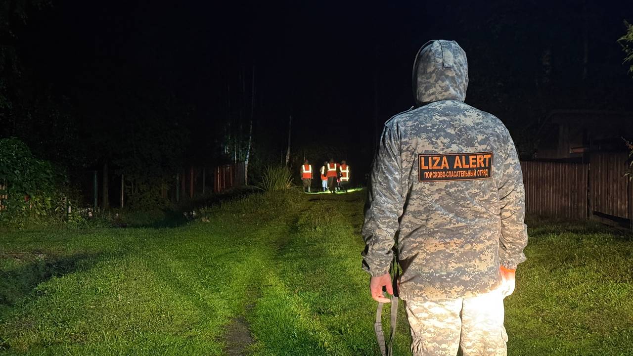 Главная картинка новости: В Коми поисковики «ЛизаАлерт» за год вернули домой 177 человек