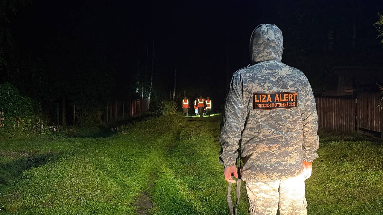 Главная картинка новости: В Коми поисковики «ЛизаАлерт» за год вернули домой 177 человек