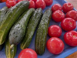 В Коми за новогодние каникулы лидерами подорожания стали огурцы и помидоры