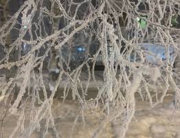 17 января принесет в Коми погожий зимний день с приятными -12°C и легким снегом