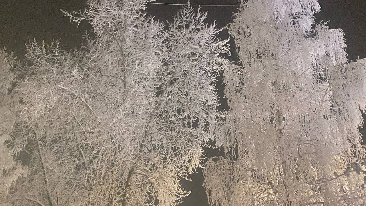 Главная картинка новости: 18 января Коми ждёт зимний выходной с легкими морозами и снегом