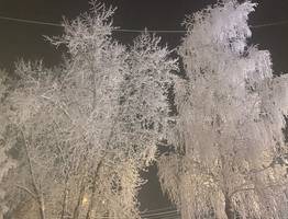 18 января Коми ждёт зимний выходной с легкими морозами и снегом