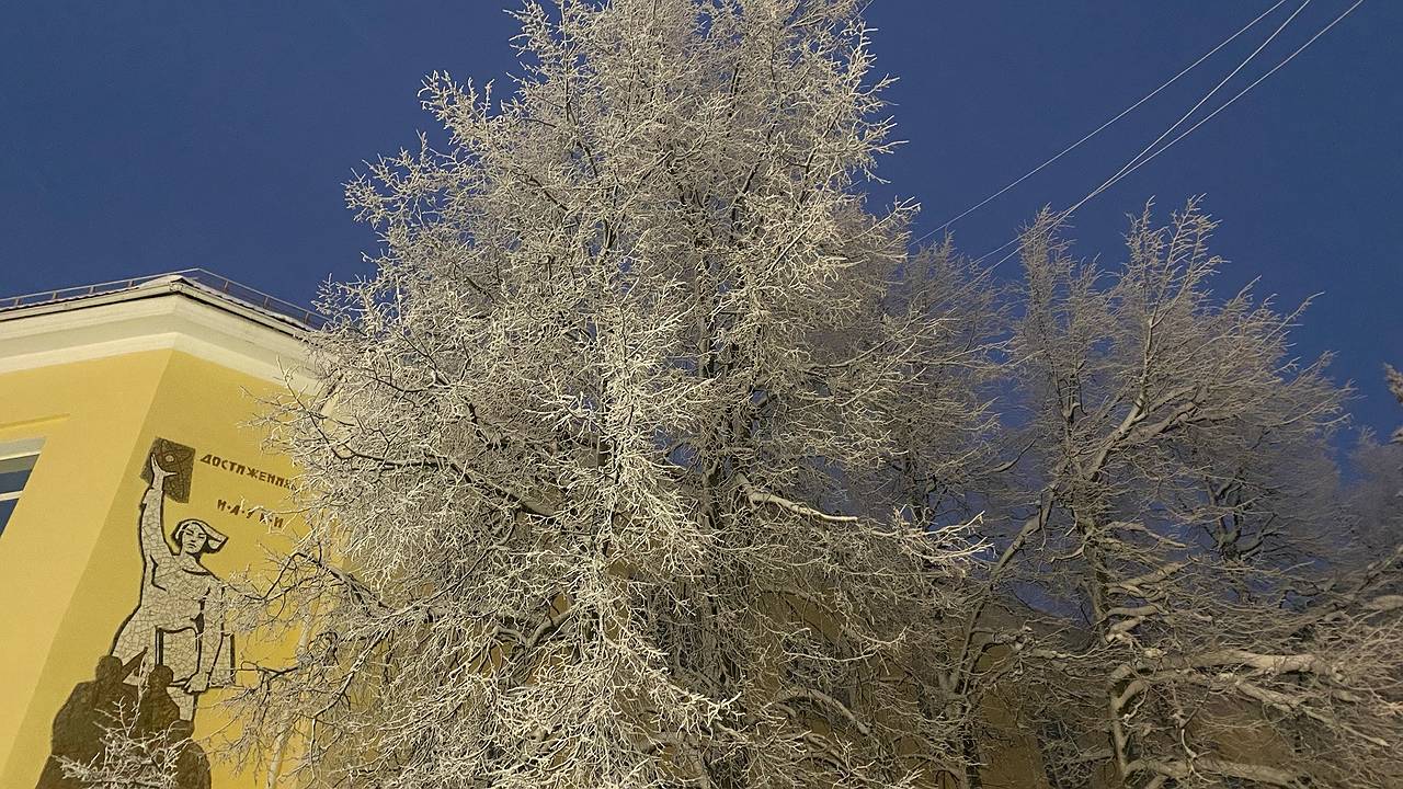 Главная картинка новости: 19 января на северо-востоке Коми сгущаются морозы, в центре и на юге пройдёт снег