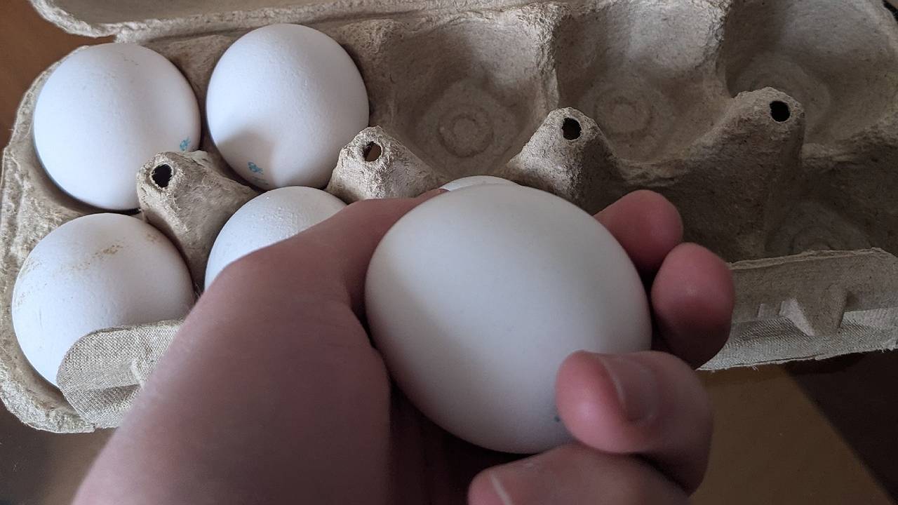 Главная картинка новости: Почему работники птицефабрик обходят стороной яйца С0: правила правильной покупки