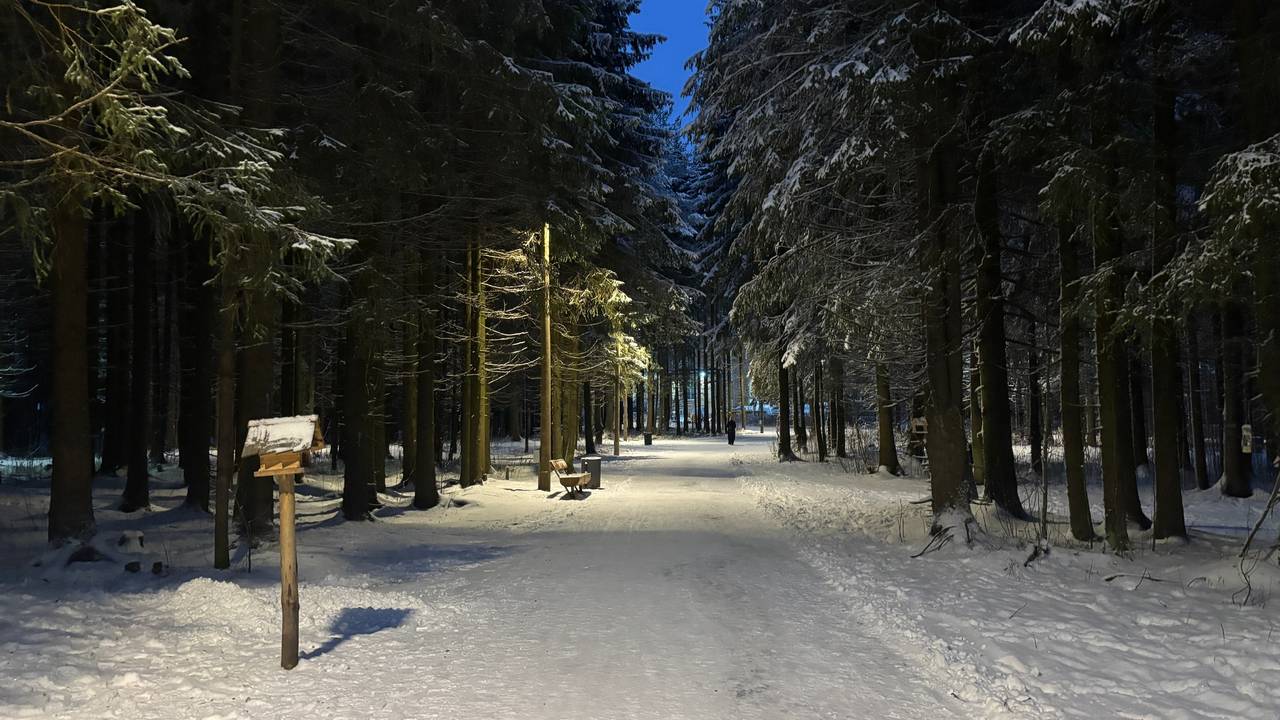 Главная картинка новости: 28 января не принесет в Коми сюрпризы: вновь снег, ветер и умеренные морозы