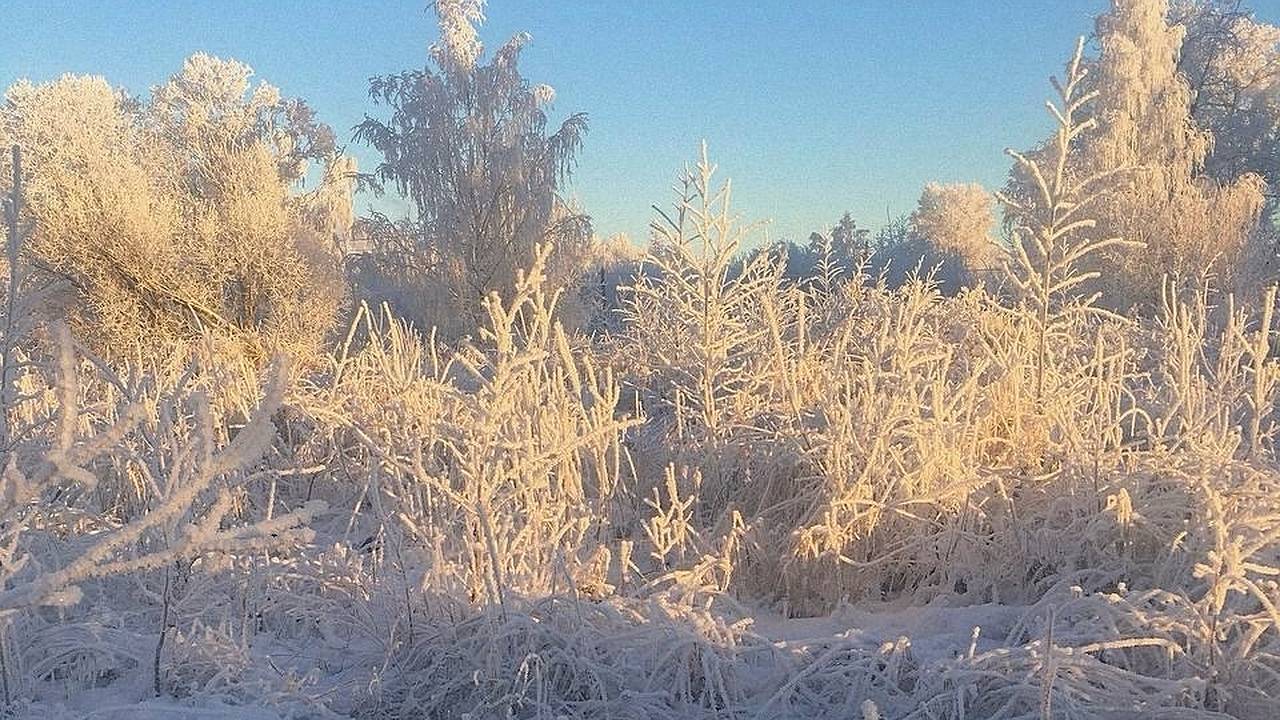 Главная картинка новости: 29 января во всех районах Коми крепчают морозы