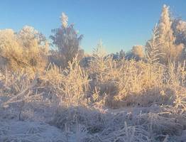 29 января во всех районах Коми крепчают морозы