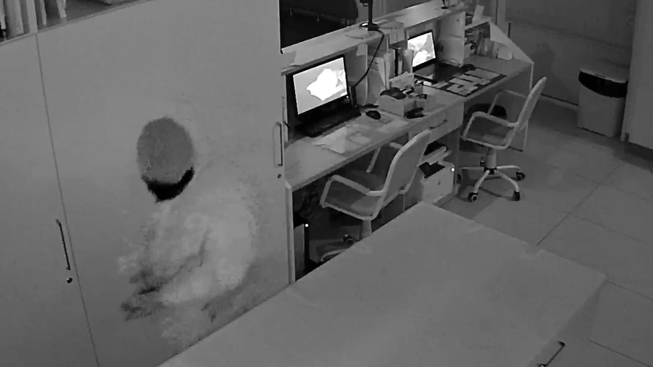 Главная картинка новости: Сыктывкарец попытался ограбить медцентр, но повредил ногу при попытке скрыться