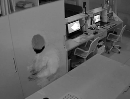 Сыктывкарец попытался ограбить медцентр, но повредил ногу при попытке скрыться