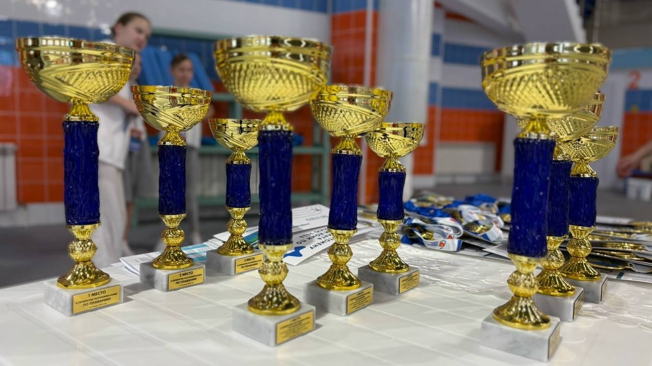Главная картинка новости: Пловцы Сыктывкара одержали безоговорочную победу на региональном первенстве