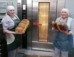 На смену "Агростартапу" Коми запускает новые программы поддержки малых хозяйств