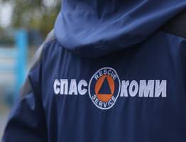 Пожары, утечки газа, поиск заблудившихся: "СПАС-КОМИ" опубликовал статистику года