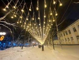 Сыктывкарцы отстояли праздничную иллюминацию в Кировском парке