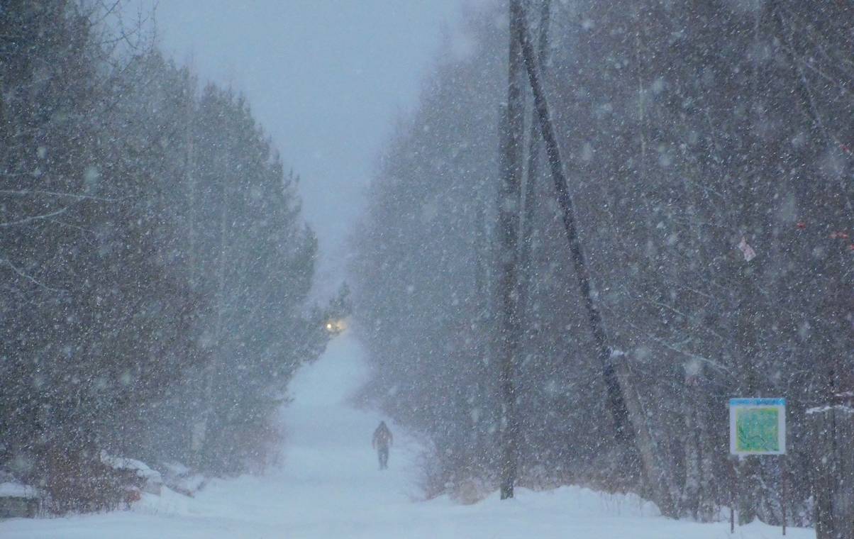 Прогноз погоды: 14 февраля принесет в Коми от сильных снегопадов и до морозов в – 39°C
